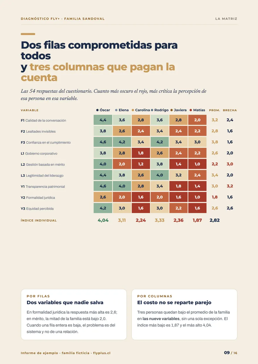 Página 9 del informe de ejemplo: la matriz con lo que puntuó cada miembro de la familia en las nueve variables